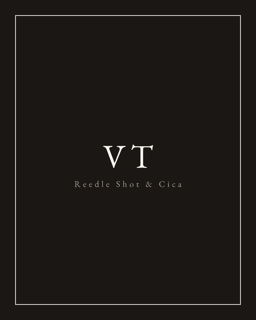 Vetrina Skin — VT, Reedle Shot & Cica